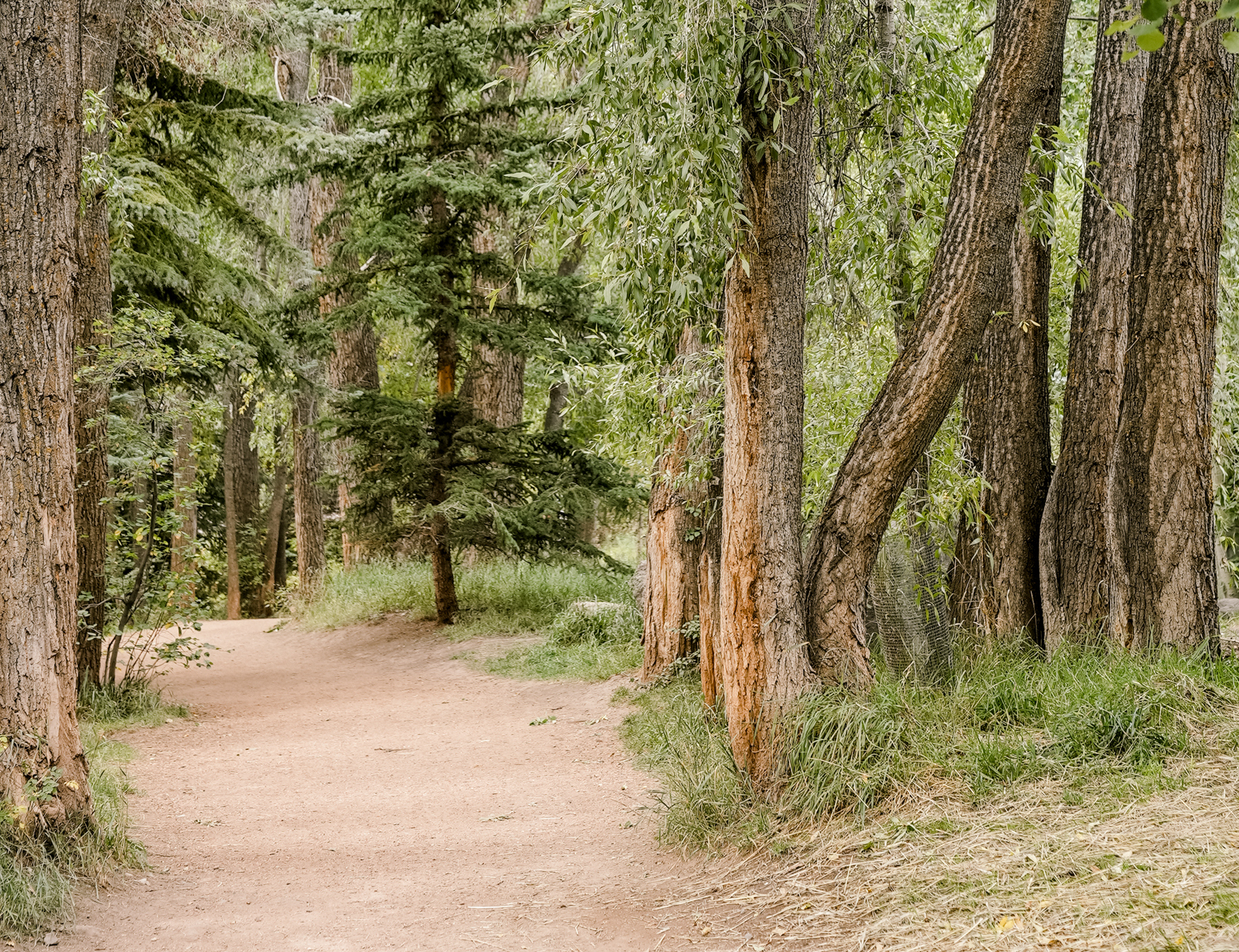 Colorado Trailhead Shuttle Services